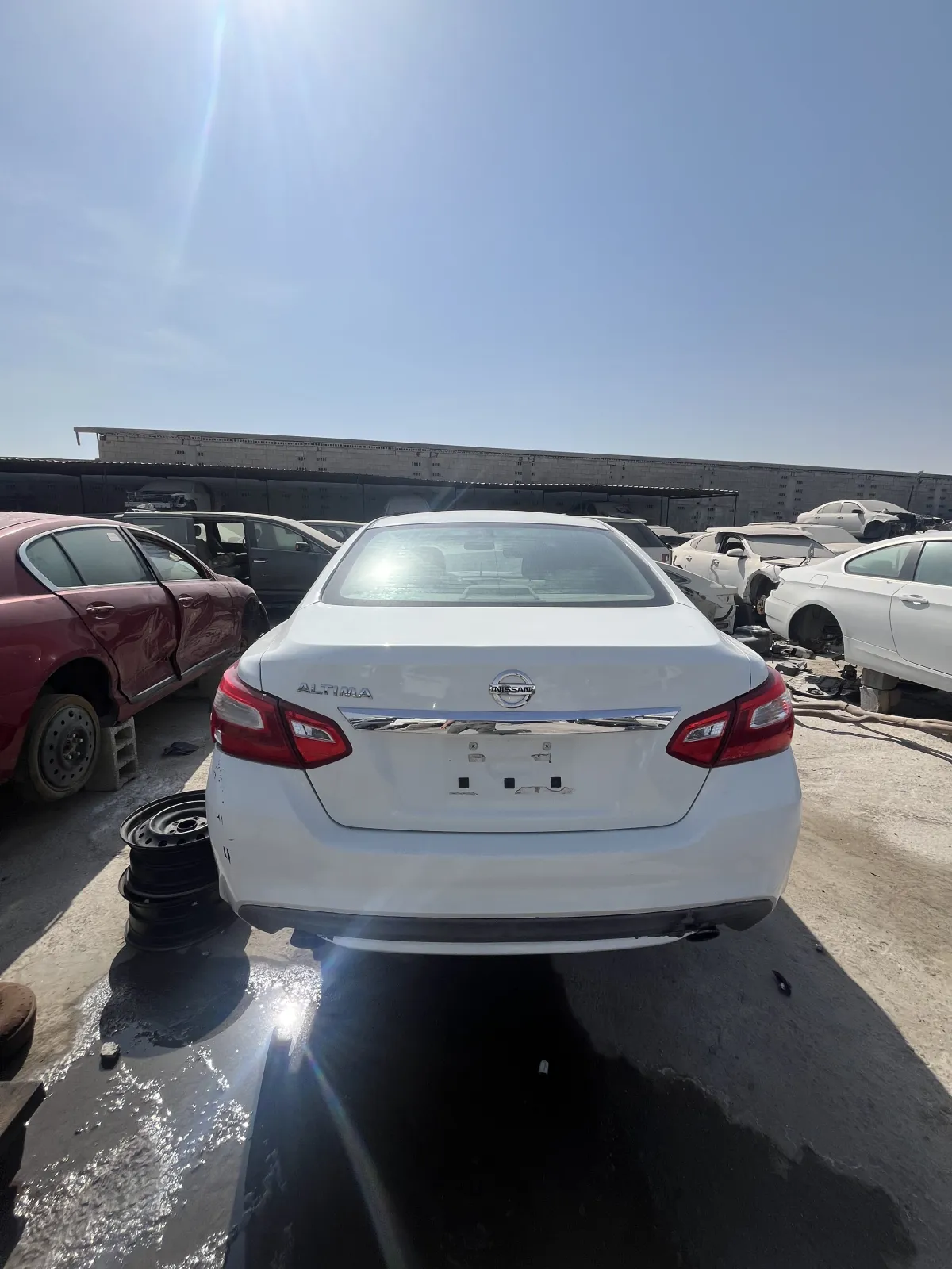 عصاة إشارة