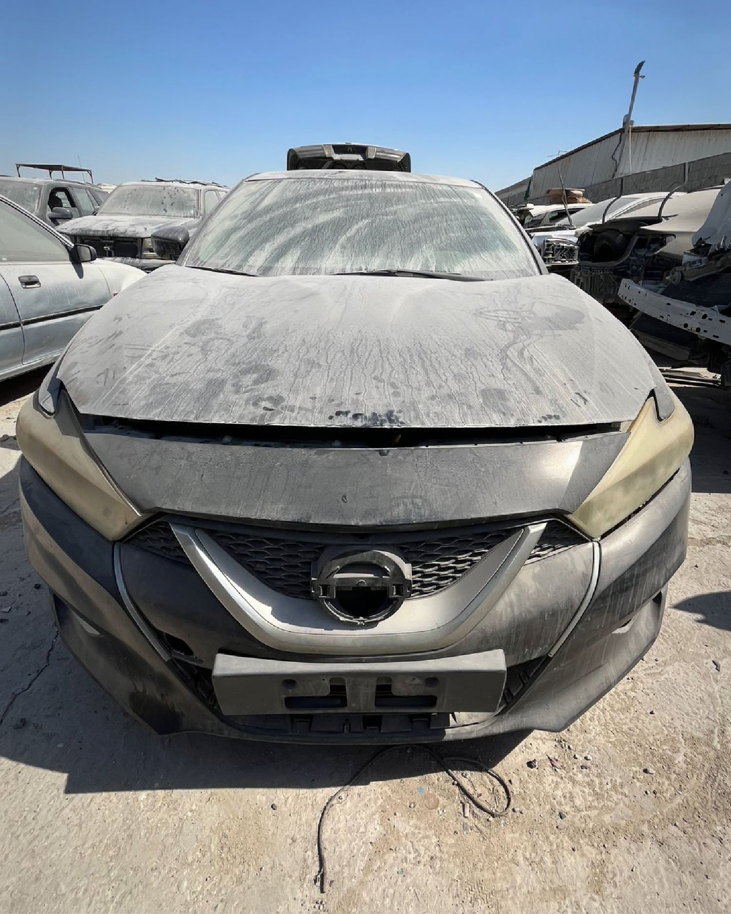 إصطب خلفي (يسار ركن)