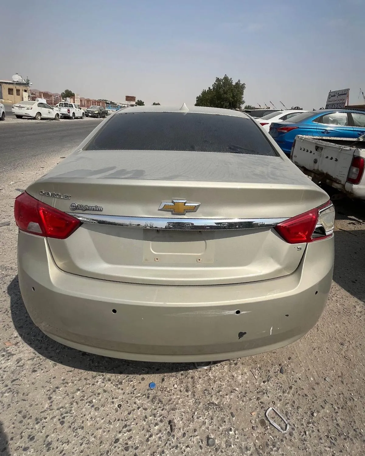 دودة دركسون