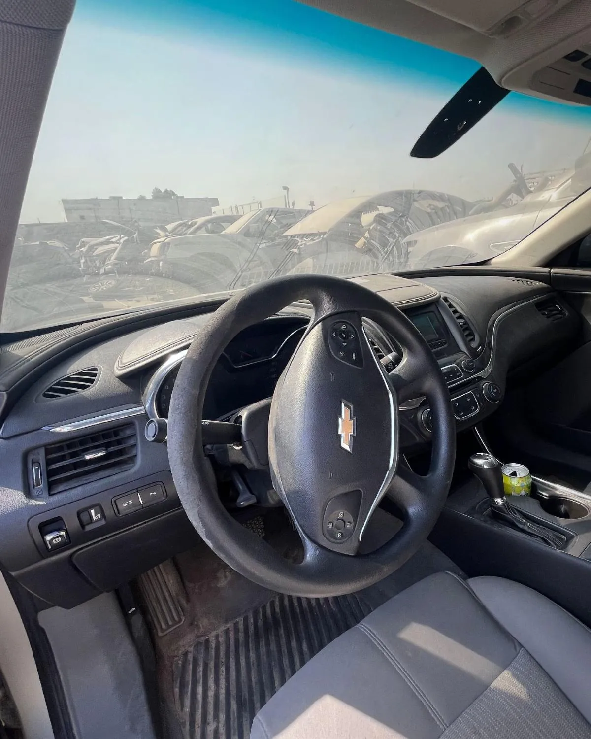 دودة دركسون